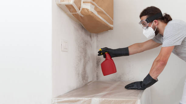 Professional Basement Mold Remediation technician working in Corolla, NC