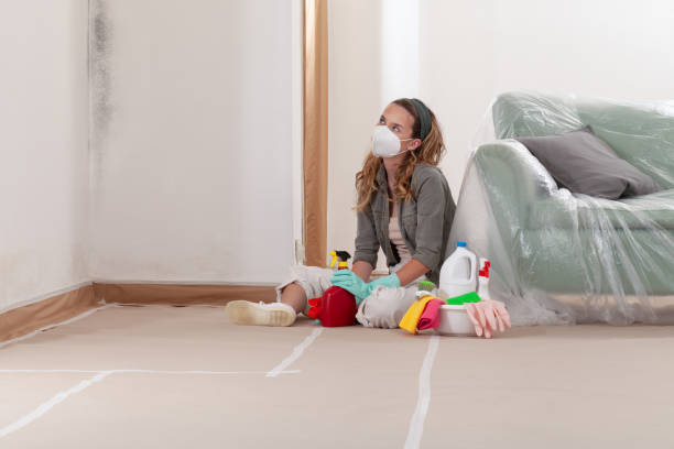 Reliable Basement Mold Remediation contractor in Corolla, NC by 24 Hour Mold Removal